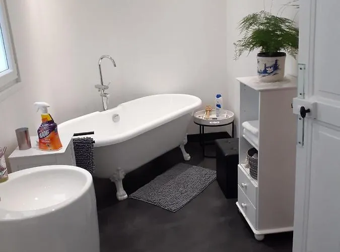 Couette-café Oasis Master Marconne